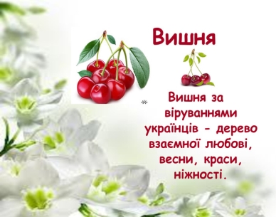                                       Вишня     Вишня за віруваннями українців - дерево взаємної любові, весни, краси,                              ніжності.  